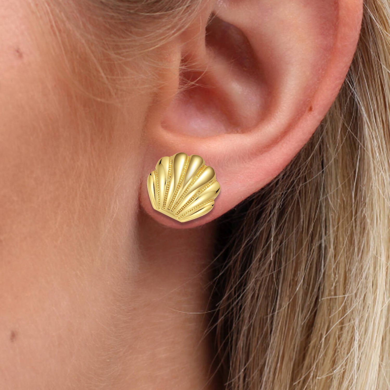 ENVYOU Sea Shell Stud Earrings